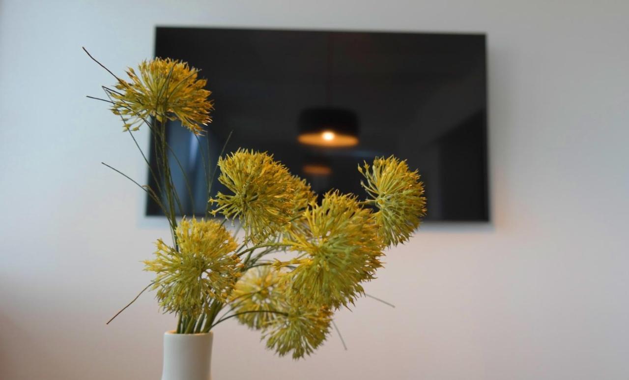 Apartment Flora Пула Екстериор снимка